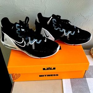 These are brand new LEBRON WITNESS VI TB Size 9 basketball shoes.